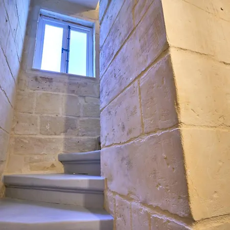 12 -16 , Pacifiku Scicluna