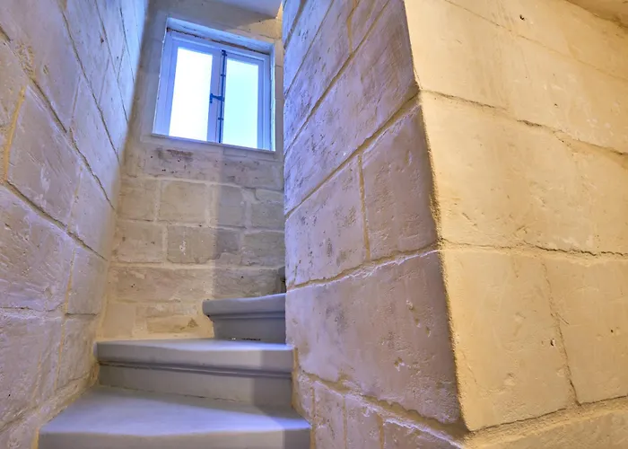 12 -16 , Pacifiku Scicluna