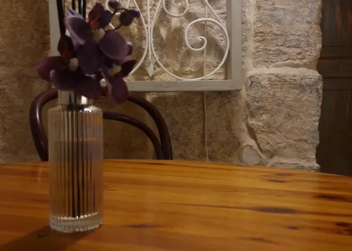 12 -16 , Pacifiku Scicluna